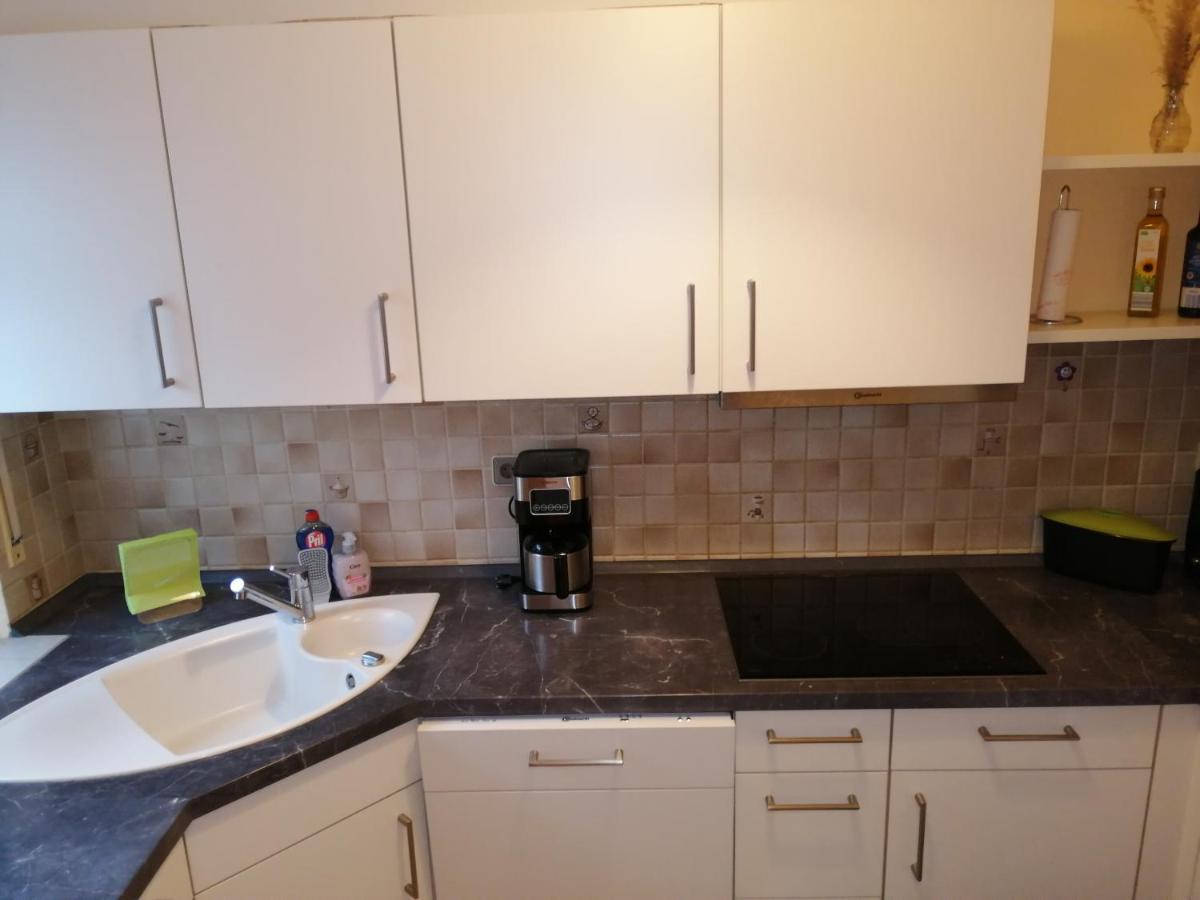 Ebenerdige Ferienwohnung Mit Grosser Terrasse In Der Naehe Des Waldes, Zum Wohlfuehlen Schoneck Eksteriør bilde
